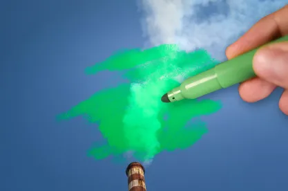 FTC To Review Guides for Green Advertising