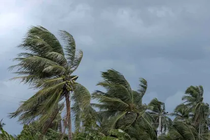 Insurance Coverage Fine Art Extreme Weather 