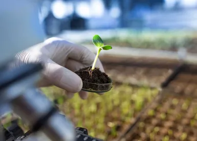 ESG Regulation Updates for U.S. Insurers