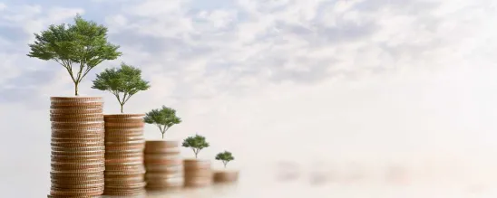 India Impact Investment Updates September 14 2022