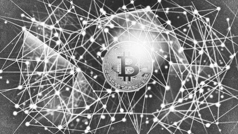 ECB Director General Challenges Bitcoin