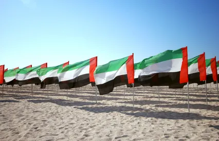 United Arab Emirates Releases New Commercial Agency Law