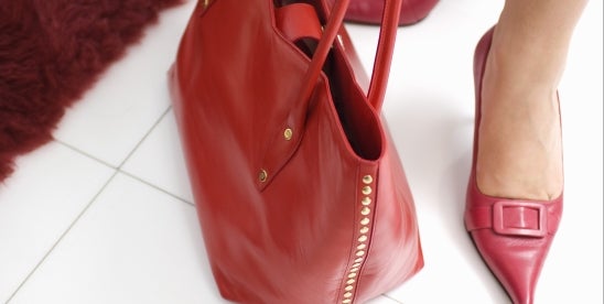 Dior Saddle Bag Purse Trade Mark Case