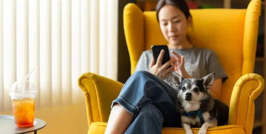 Emotional Support and Service Animals at Work