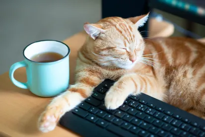 Long-Term Remote Work and Legal Compliance