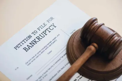 bankruptcy petition