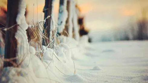 Winter Storm Uri Energy Cost Litigation