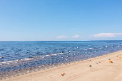 Dead Whales on the shoreline of the east coast 