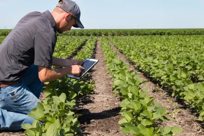 Bioengineered Food Labeling Rules Coming Soon
