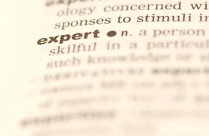 expert testimony must be address agreed upon construction