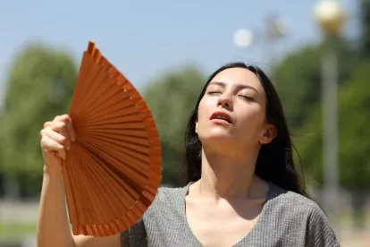 CA: Role Of Parametric Insurance In Heat Community Policy 