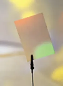 Noteholder