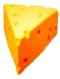 Cheese