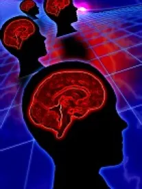 Brains
