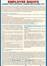 Employee Rights