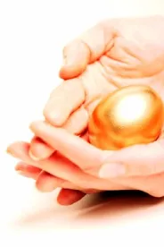 Nest Egg