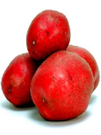 Red Potatoes Employment Law