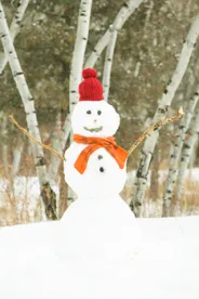 snowman