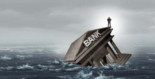 Revenue Based Financing Alternative Banks Regulation 