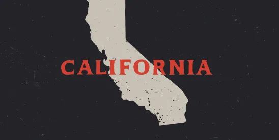 AB 2088 Transient Wealth Tax Bill