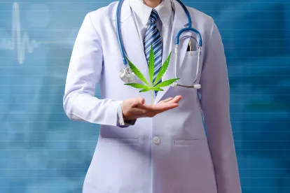 Marijuana Drug Tests Post Accident at 25 year high