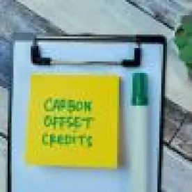 How To Report Fraud In The Carbon Market 