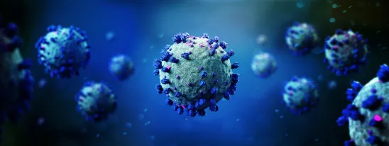 coronavirus in HD