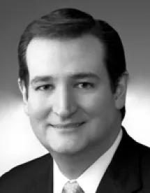 R. (Ted) Edward Cruz of Morgan Lewis 