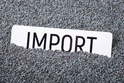 trying to understand Overlap undersatnd Export Controls and CFIUS