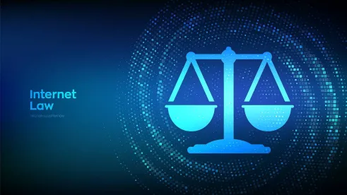 Data Privacy Law State by State Summary