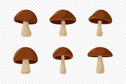 Federally Legal Mushrooms before Federally Leal Pot