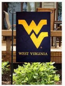 flag, wv, blue, gold, west virginia