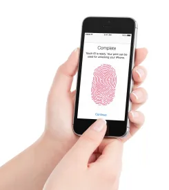 Biometric Data Collection Violations Accrue with Each Instance