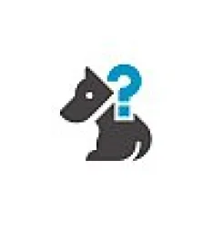 Services animals ok in the workplace