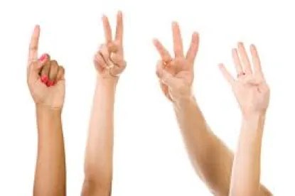 Four fingers 