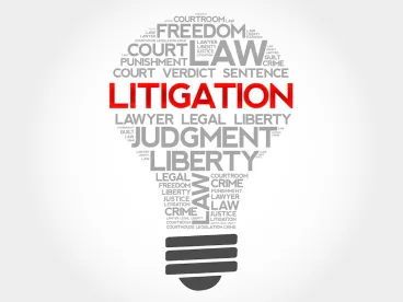 SOX Litigation 