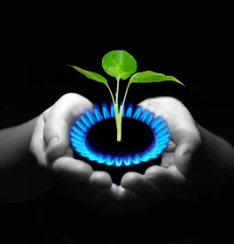 Local Natural Gas Bans and Federal EPCA