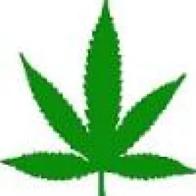 pot leaf