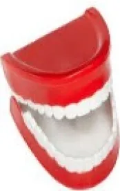 Teeth 