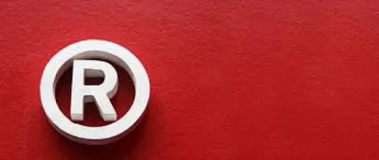 Decision Time: Trademarks and the New World of Domain Names