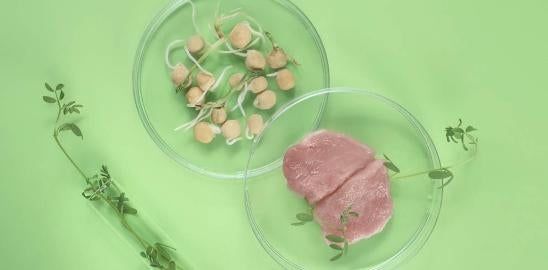 Lab grown meat closer to US Approval