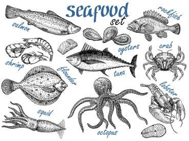 FDA's Update to Seafood List and Guide