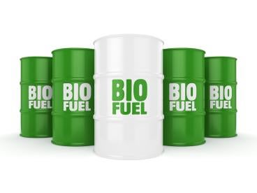 Biofuels Report to Congress EPA