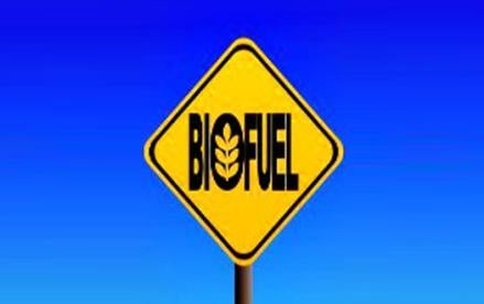biofuel, RFS, BIO
