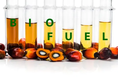 bio-based chemicals
