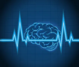 brain, concussion, female brain