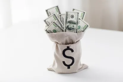 litigation funding bag of money