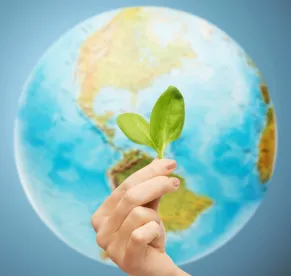 World, EPA Vapor Degreasing Regulation, Chemical Risk Evaluation, Regulatory Freeze: Recent Federal Developments