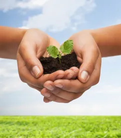 plant in hands, climate related financial disclosures, g20