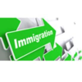 immigration green arrow, baha, trump